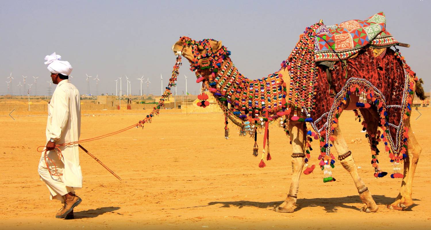 Rajasthan Desert Safari Tour 14 Days